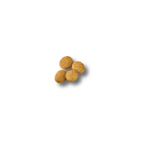 Puppy dog with a bowl of Purina Pro Plan® Large Breed Chicken & Rice Formula dry dog food, showing kibble and a happy puppy face.