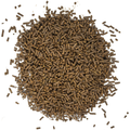 Purina Impact Professional