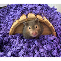 Carefresh Colorful Creations Small Animal Bedding in playful purple, 50L, with soft, shredded material for small pet comfort.