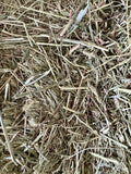 racetrack timothy hay bale 