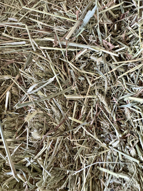 racetrack timothy hay bale 