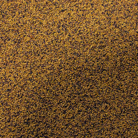 closeup texture of medium red clover seeds
