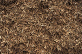 Close-up of brown mulch or compost