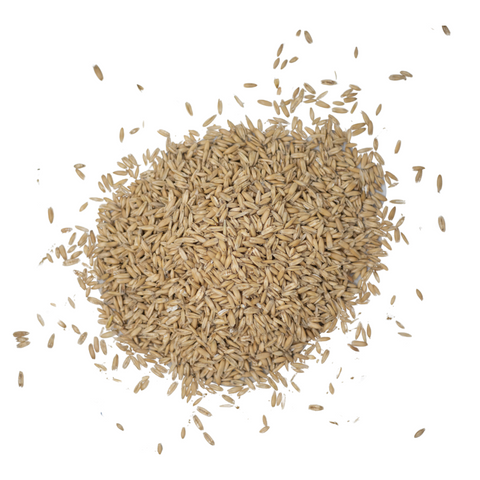 Steam Crimped Oats in a pile
