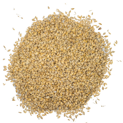 Steam Rolled Barley Feed