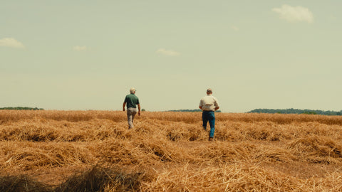 Two men out in a wheat field as it is being harvested. 