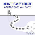 Terro Liquid Ant Bait Stakes kills the ants you see and the ones you don't in this informational graphic