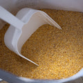 Non-medicated chicken starter feed by The Mill, 50 lb bag, suitable for growing chicks and poultry nutrition.