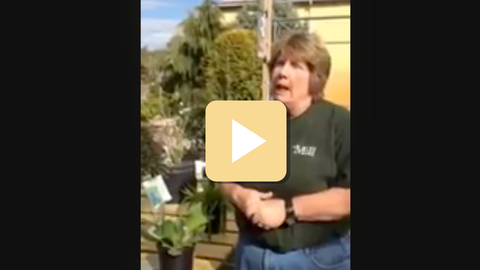 Person outdoors with a play button overlay