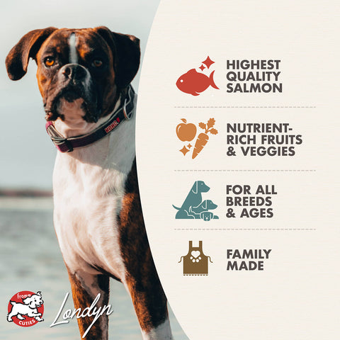 Fromm Four-Star Salmon À La Veg dry dog food bag with images of salmon and vegetables, highlighting natural ingredients.