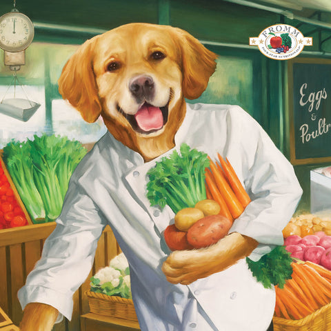 Fromm® Duck À La Veg® recipe dog food bag with image of nutritious dry dog food made with duck and vegetables.