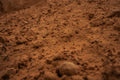Close-up of brown soil texture