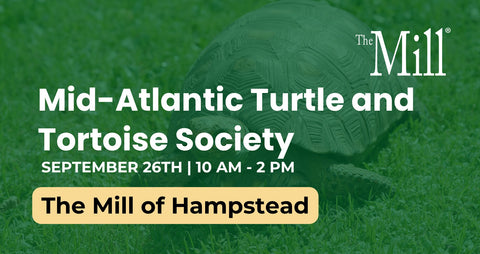 Promotional graphic for the Mid-Atlantic Turtle and Tortoise Society, featuring a large tortoise on a green grassy background with text reading 'The Mill' and event details for September 26th at The Mill of Hampstead.