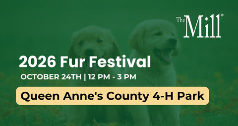 Flyer for the 2026 Fur Festival with golden retriever in the background  