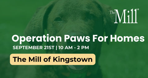 Promotional graphic for 'Operation Paws For Homes' by The Mill, featuring a green-tinted photo of a dog with event details: September 21st at 10 AM - 2 PM, and 'The Mill of Kingstown' in a yellow box.