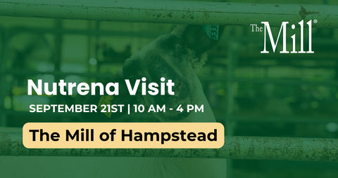 Promotional graphic for 'The Mill of Hempstead' featuring a green-tinted photo of a person holding a dog, with text reading 'Nutrena Visit' and 'SEPTEMBER 21ST | 10 AM - 4 PM'.