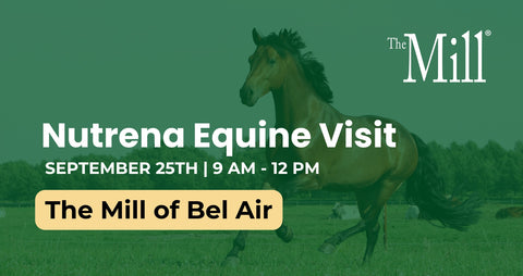 Promotional graphic for The Mill of Bel Air featuring a green-tinted photo of a horse running in a field, with text reading 'Nutrena Equine Visit' and event details for September 25th from 9 AM to 12 PM.