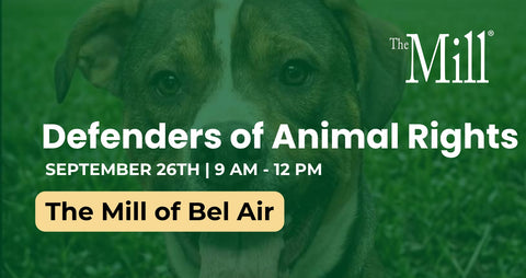 Promotional graphic for an animal rights event featuring a close-up photo of a dog's face over a green grassy background. Large white text reads 'Defenders of Animal Rights' with additional event details 'SEPTEMBER 26TH | 9 AM - 12 PM' and 'The Mill of Bel Air' in a yellow rounded rectangle.