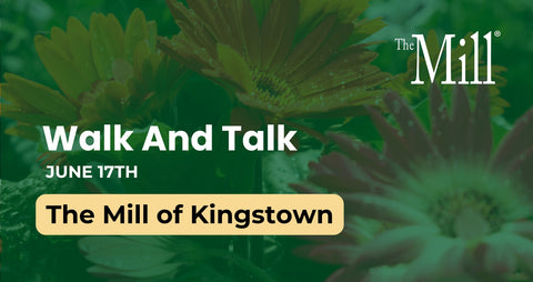Promotional graphic for a walk and talk event at The Mill of Kingstown on June 17th, with green floral background.