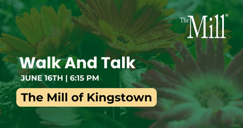 Promotional flyer for 'Walk And Talk' event at The Mill of Kingstown with green floral background