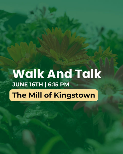 Promotional flyer for a 'Walk And Talk' event at The Mill of Kingstown with green floral background.