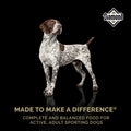 Diamond High Energy Dry Dog Food bag featuring a white dog with black and brown spots, designed for active dogs.