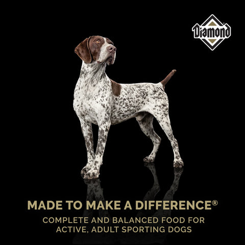 Diamond High Energy Dry Dog Food bag featuring a white dog with black and brown spots, designed for active dogs.
