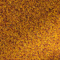 A close-up, top-down view of a dense pile of small white dutch clover seeds, showing a textured mix of golden yellow, orange, and reddish-brown tones.