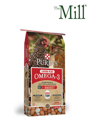 Purina Chick Layena Omega Plus