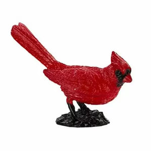 Safari Backyard Birds: Cardinal