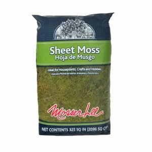 Mosser Lee Natural Green Sheet Moss
