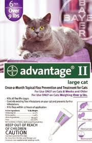 Advantage II Large Cat Label