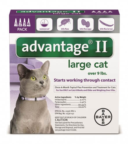 Advantage II Large Cat