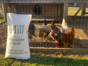 A bag of Mill Chicken feed in front of a coop and flock of pretty chickens