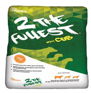 Sunglo 2 the Fullest