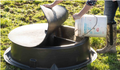 Bull Mineral Feeder