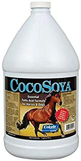 Cocosoya