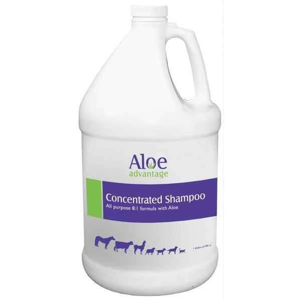 Aloe Advantage Livestock and Horse Shampoo