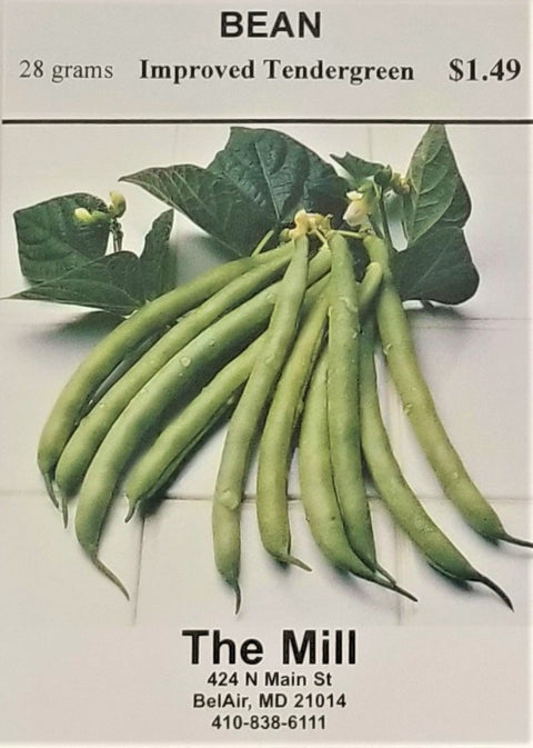 Bean - Improved Tendergreen Seed Pack