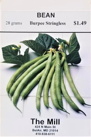 Burpee stringless bush bean seed