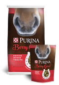 Purina Berry Good Senior Horse Treats