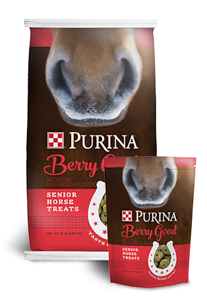 Purina Berry Good Senior Horse Treats