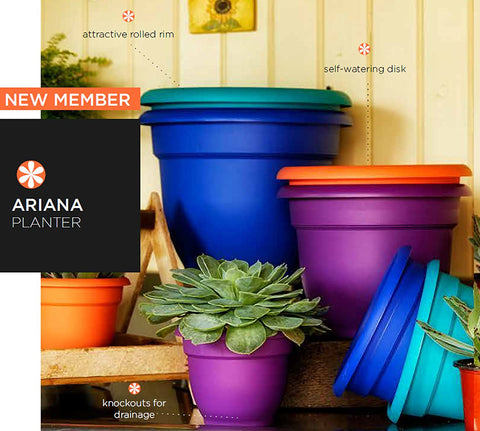 Bloem Ariana garden planter and pottery with a rounded design, perfect for outdoor or indoor plant display