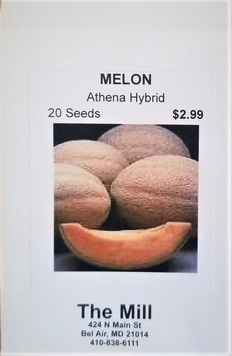 Athena cantaloupe melon seed