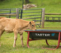 Tarterâ€™s 5' Titan Poly Bunk Feeder