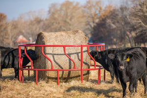 Titan Cattle Feeder Tarter