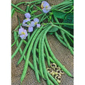 Dixie Lee Cowpeas
