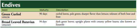 Green Curled Endive Label