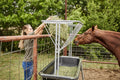 5' Hay Rack