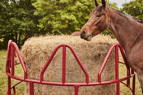 Tarterâ€™s Equine Pro Hay Feeder